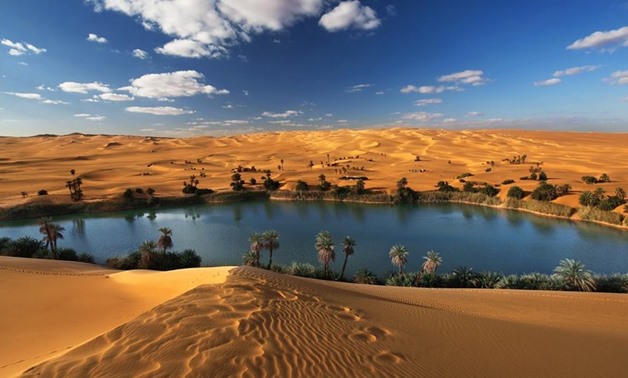 Oasis de Siwa