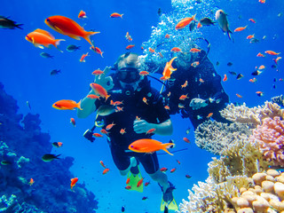Beach & Diving Vacations